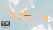 Endonezya’da polis stadyumda biber gazı sıktı: 174 ölü